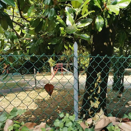 住宿加早餐酒店 Residentes De Venecia 梅斯特雷